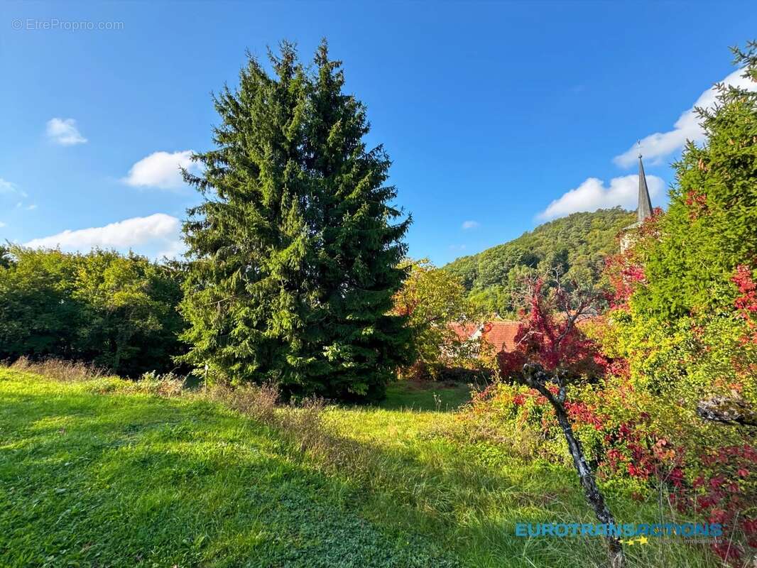 Terrain à ROTHBACH