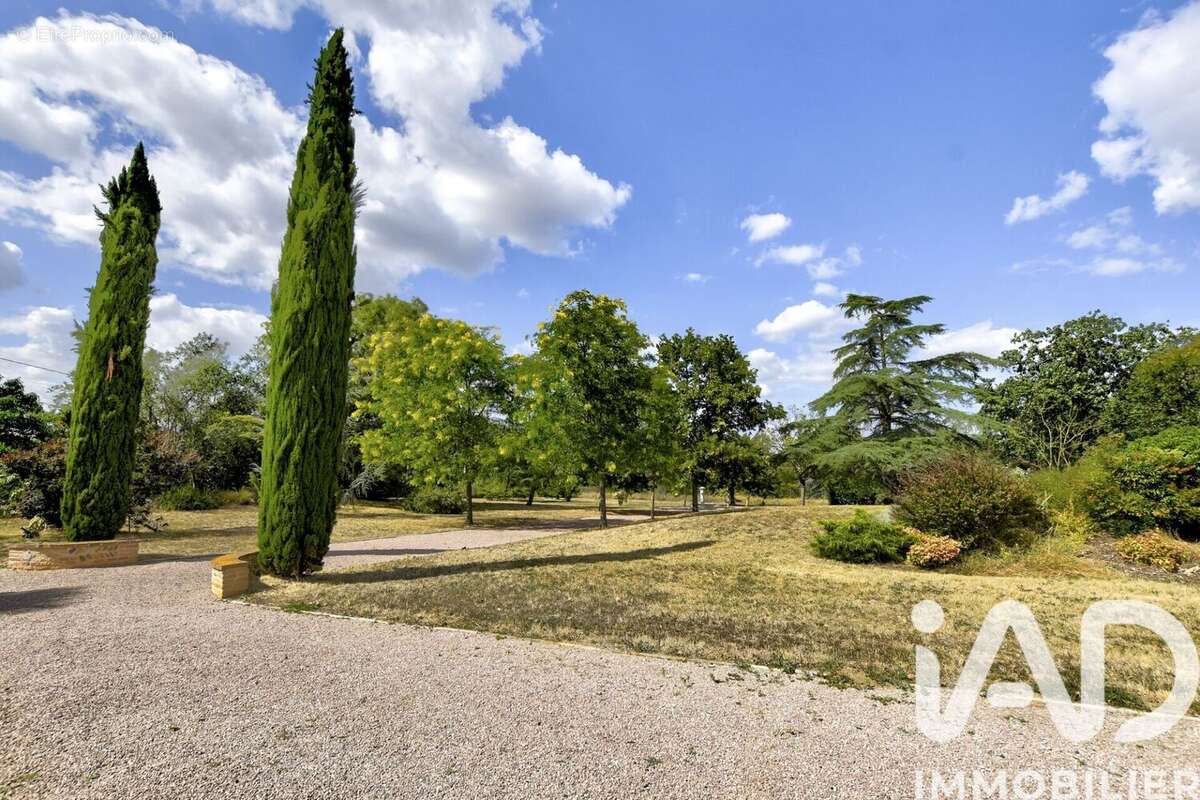 Photo 3 - Maison à LARRA