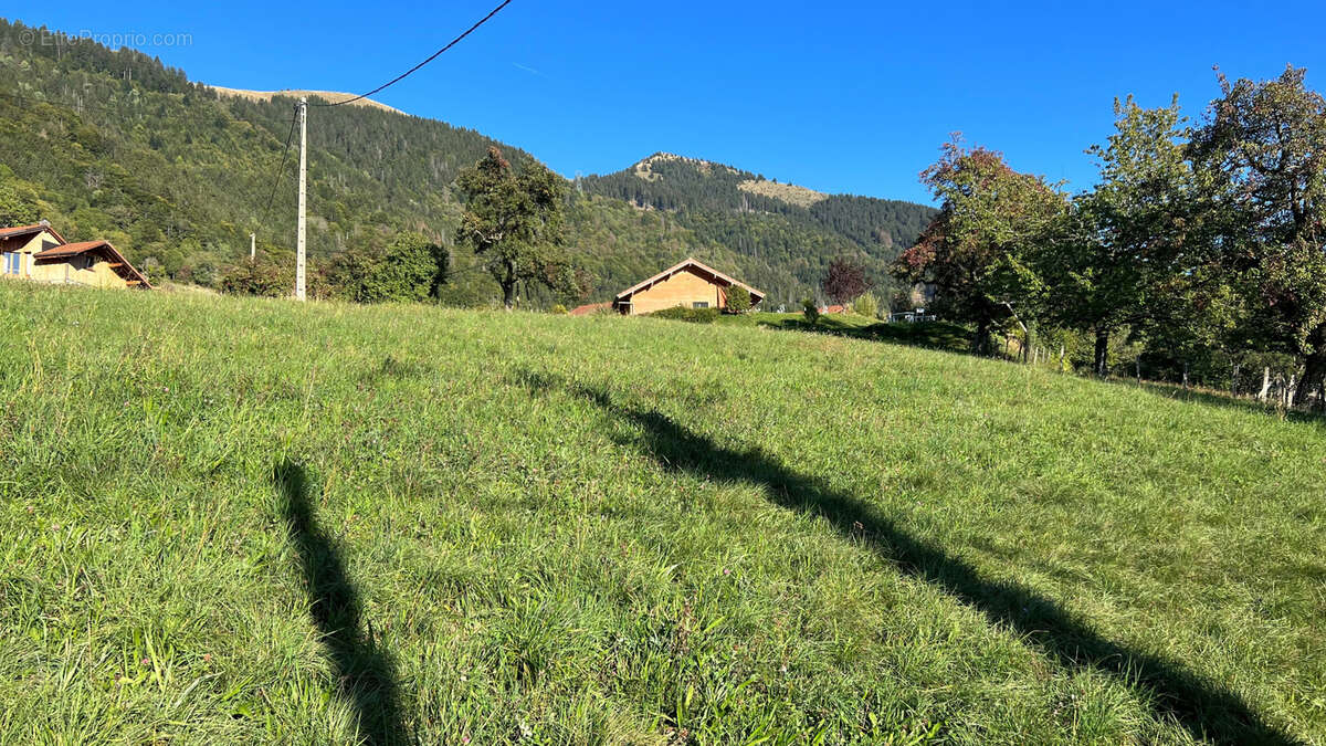 SAINT-JEAN-DE-THOLOME, terrain de 1000m2 - photo 2