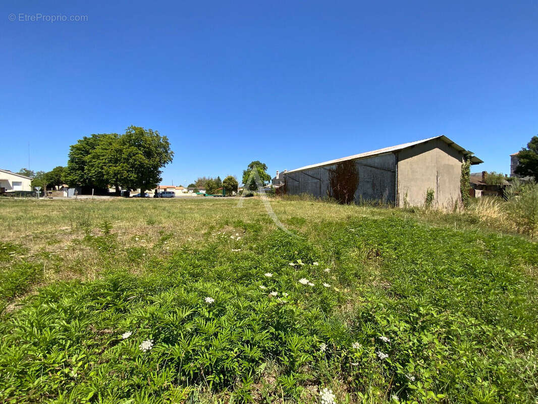Terrain à SAINT-CIERS-DU-TAILLON
