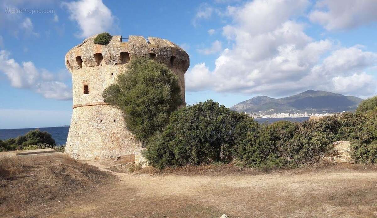 Appartement à PIETROSELLA
