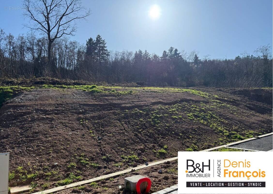 Terrain à KATZENTHAL