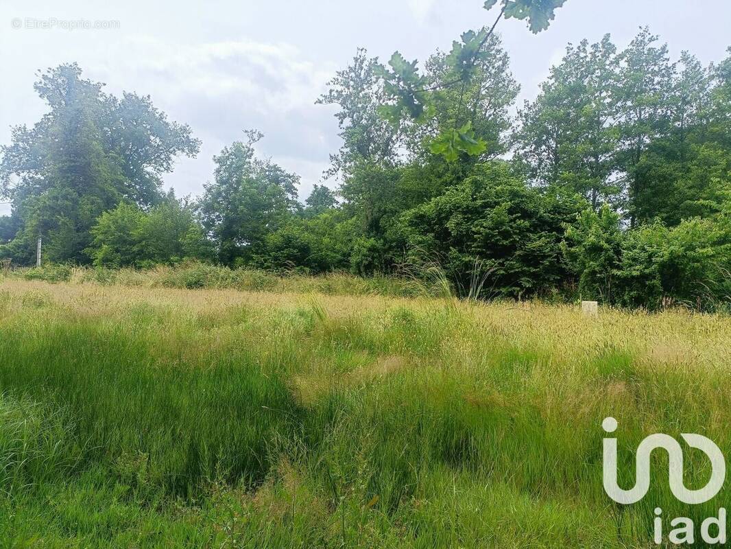 Photo 1 - Terrain à MARGAUX