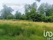 Photo 1 - Terrain à MARGAUX