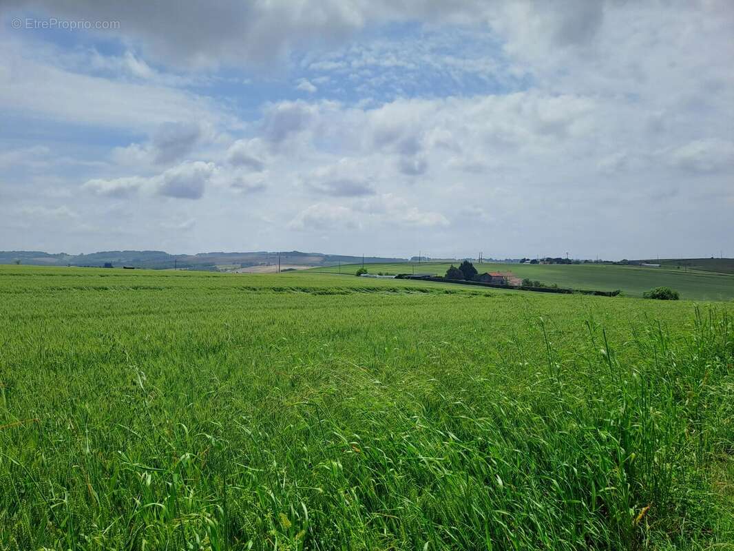 Jolie demeure avec maison d’amis à deux pas de Tonneins - photo 21