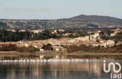 Photo 6 - Terrain à LA PALME
