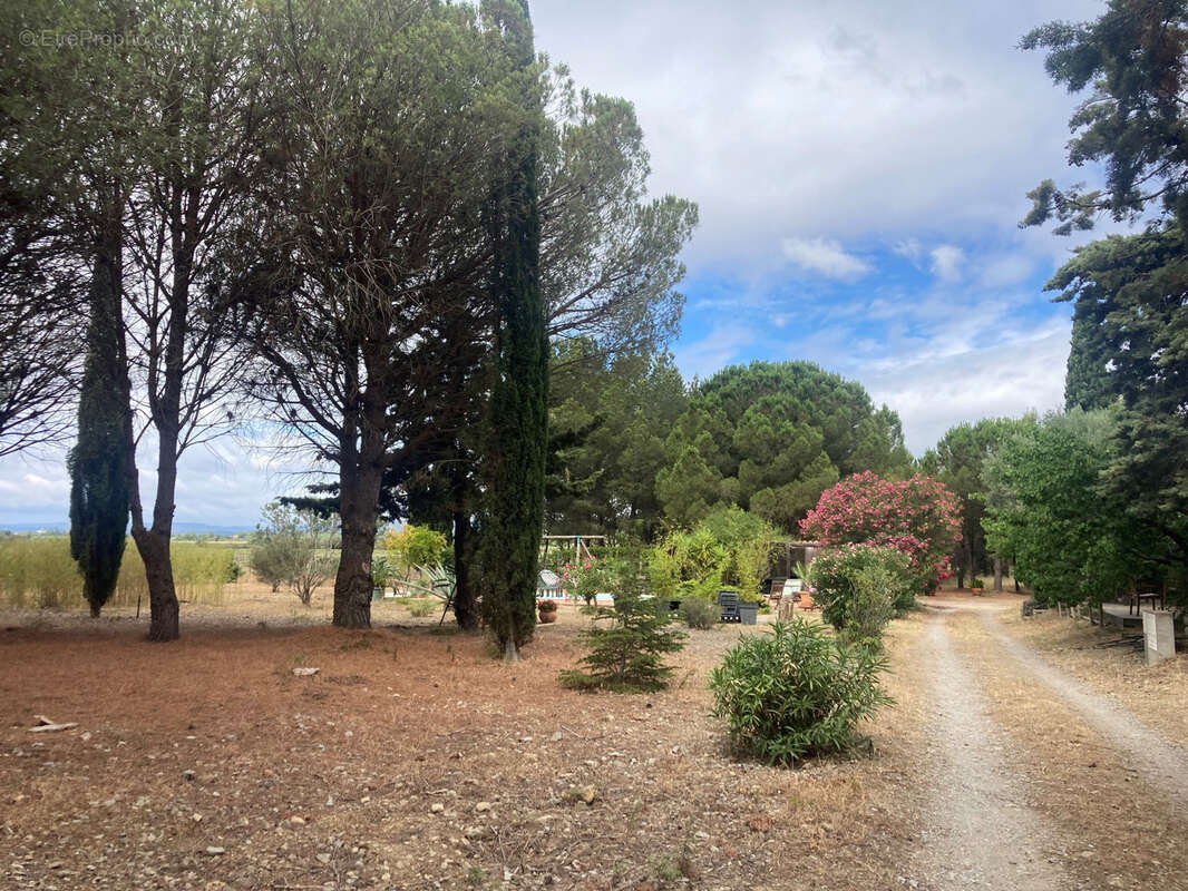 Gruissan, à 3kms des plages, maison de caractère rénovée avec 5 chambres, sur un parc de 2,5 hectares, avec pi - photo 18