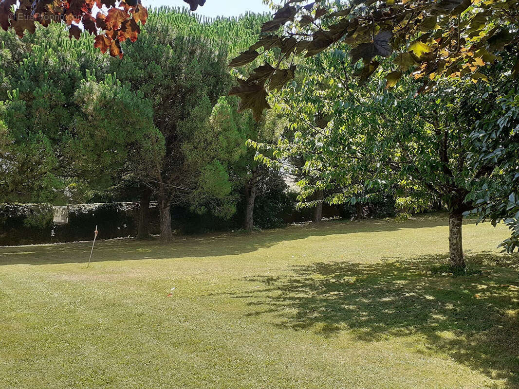 Terrain à SAINT-ROMAIN-DE-BENET