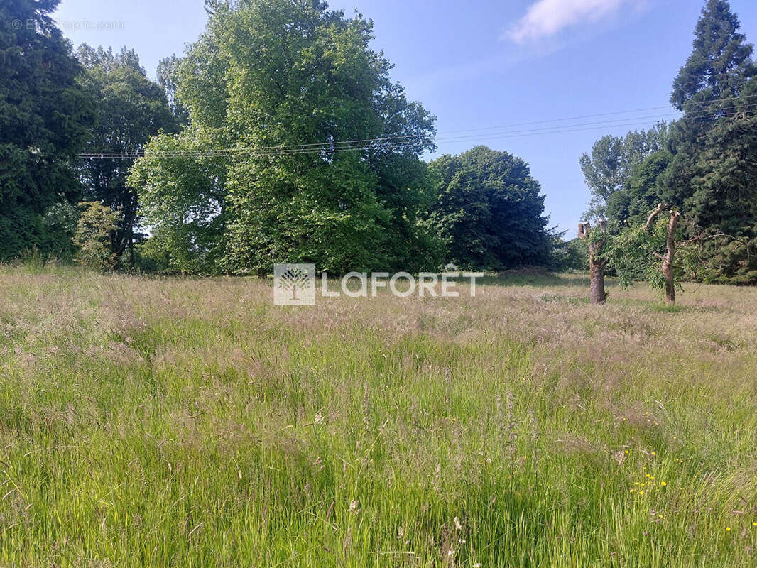 Maison à QUOEUX-HAUT-MAINIL