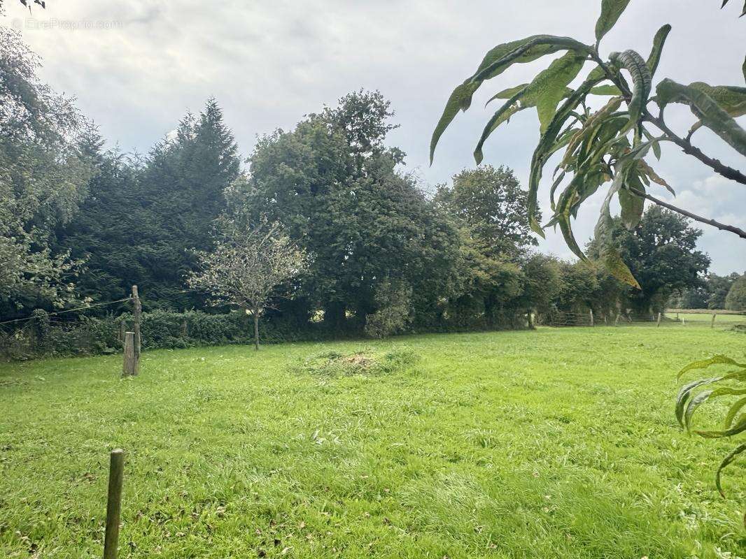 Maison à LE MESNIL-ROUXELIN