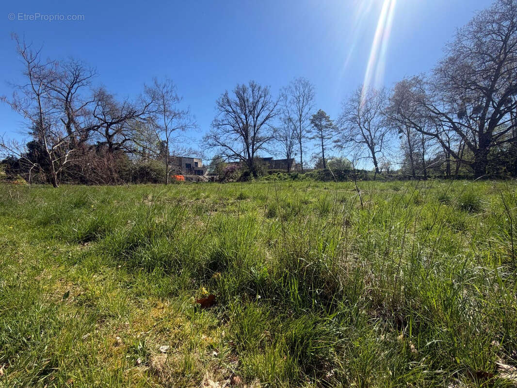 Terrain à SAMOREAU