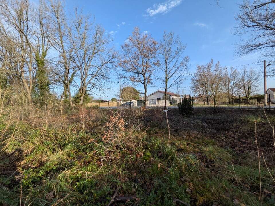 Terrain à MURET