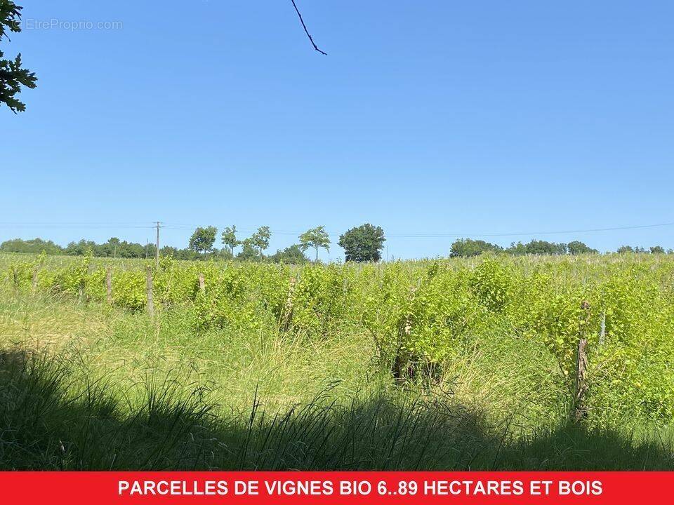 #vignes #gers #bois  - Terrain à CAZAUBON