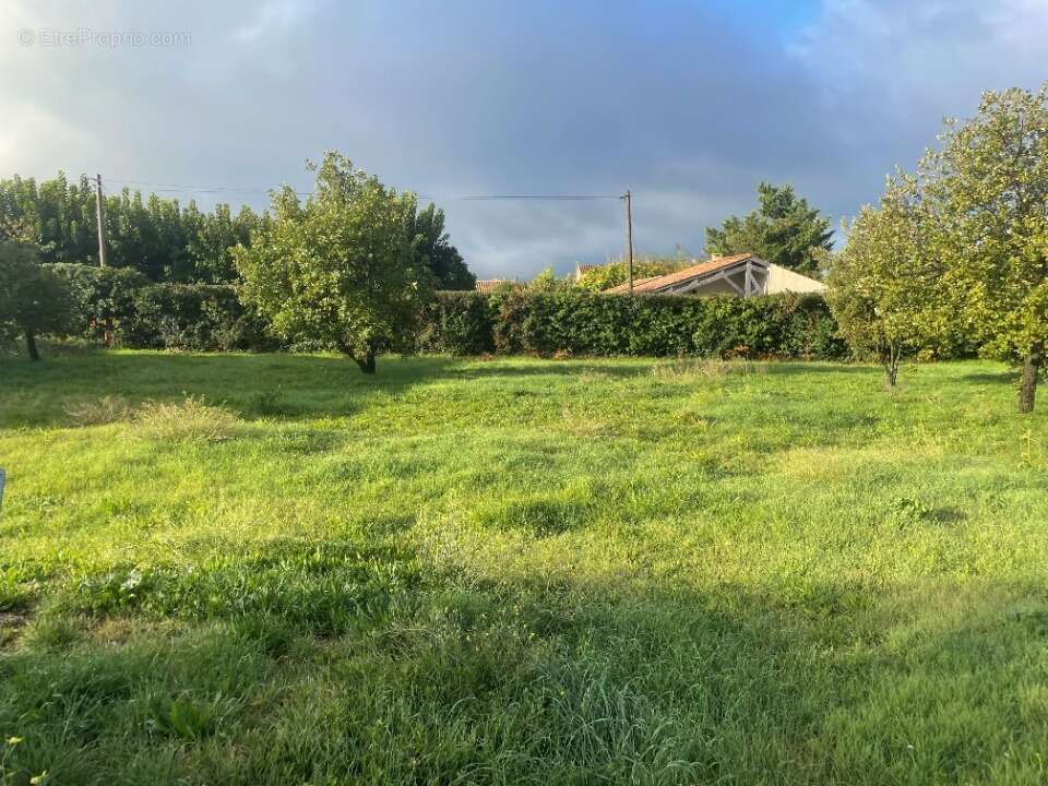 Terrain à MALLEMORT