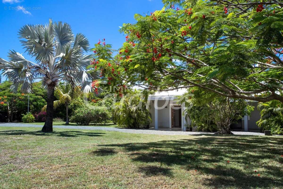 Maison à SAINT-MARTIN