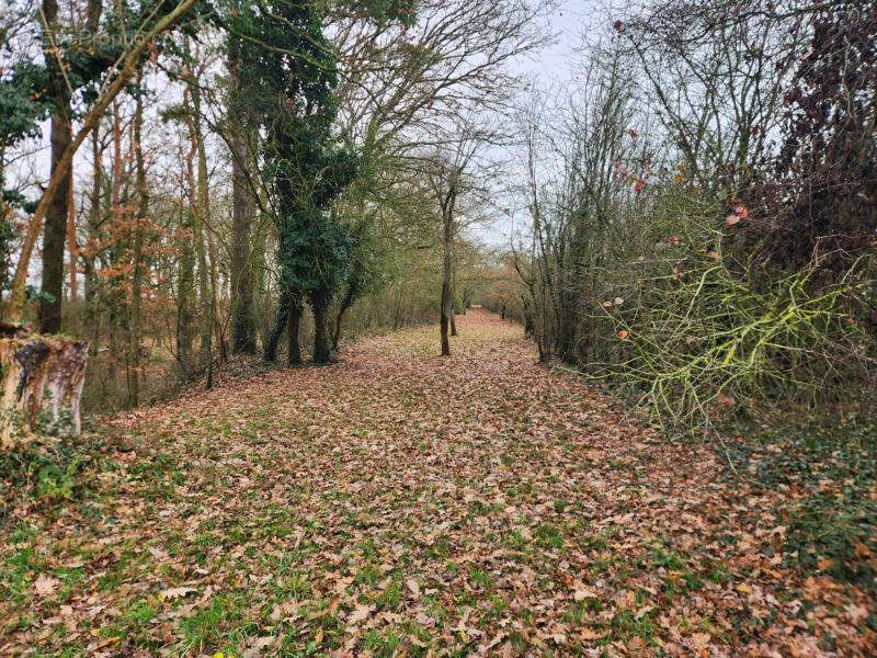 Maison à CHATEAUNEUF-EN-THYMERAIS
