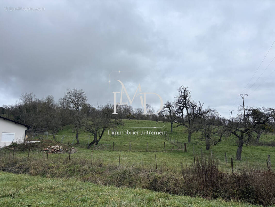Terrain à BOUXIERES-AUX-CHENES