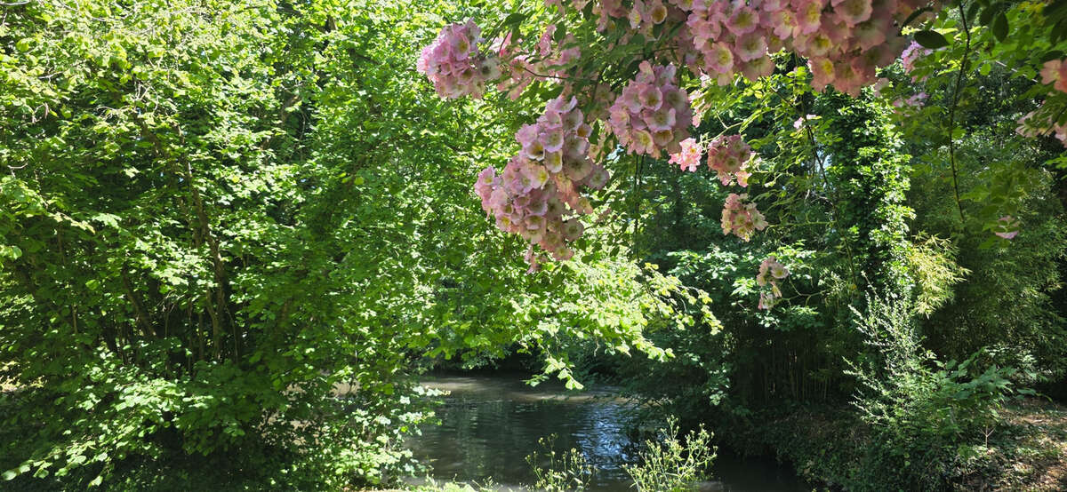 Maison à DIMANCHEVILLE