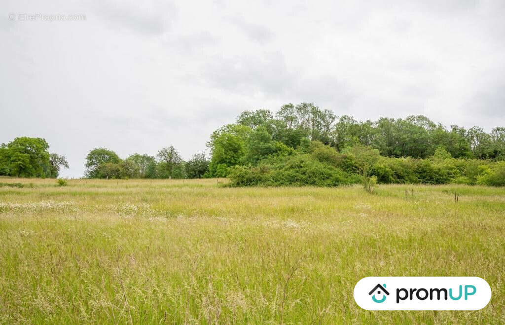 Terrain à PREZ