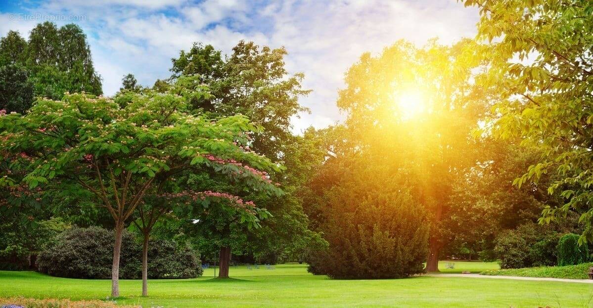 Terrain à LE POIRE-SUR-VIE