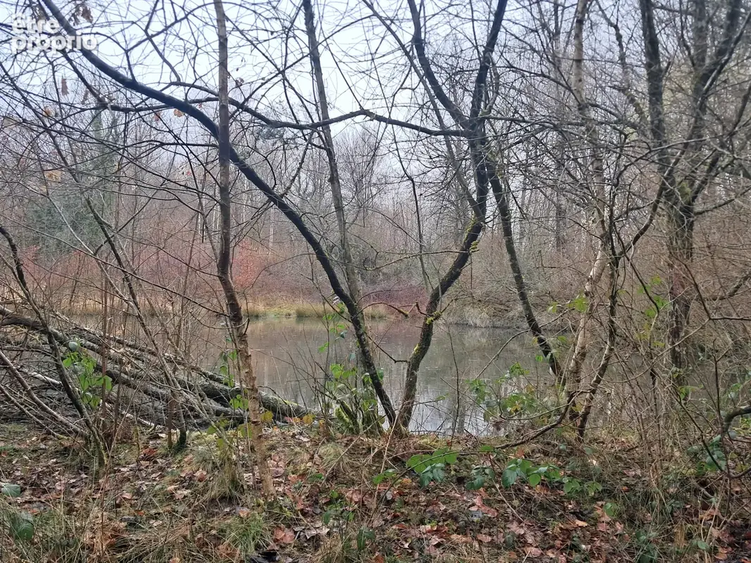 Vaste TERRAIN en zone (UX )Artisanale - photo 2