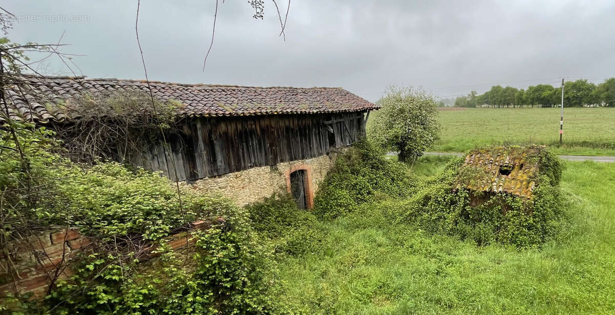 Maison à VILLENEUVE-DE-MARSAN