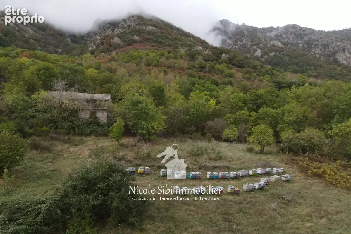 Terrain 49 291 m² à vendre à Valmanya (66320) - photo 2