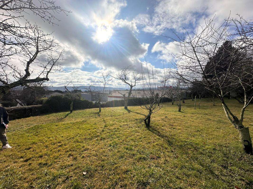 Terrain À Vendre - photo 7