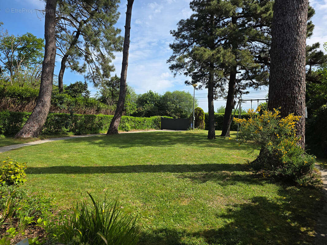 Terrain à PENESTIN