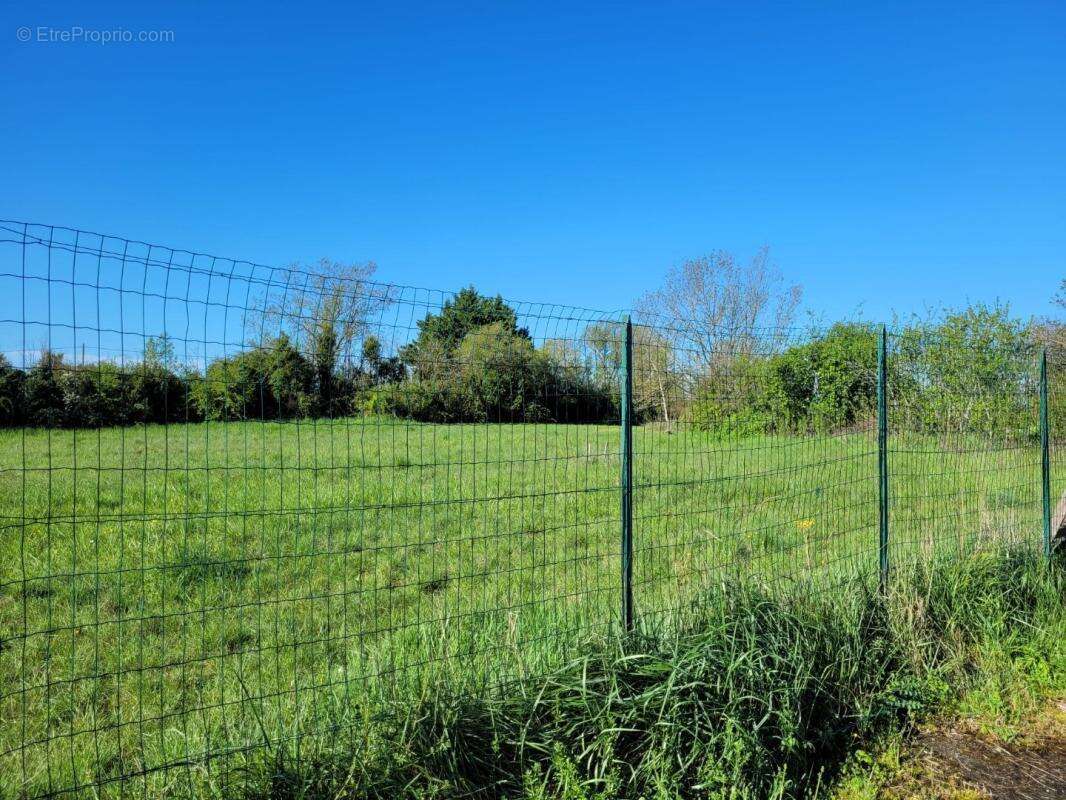 Terrain à CASTELNAU-MONTRATIER