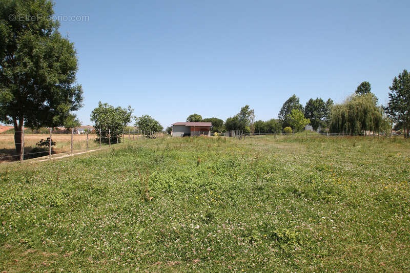 Terrain à CASTELJALOUX