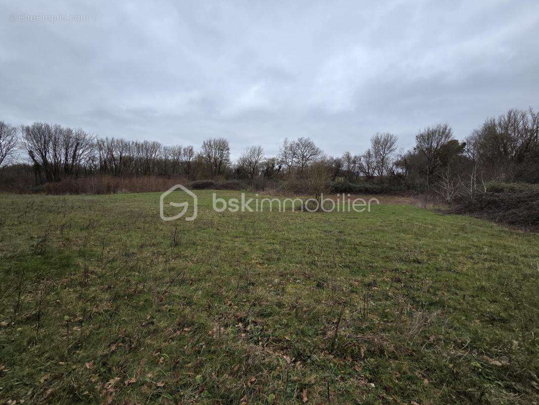 Terrain à BLANZAY