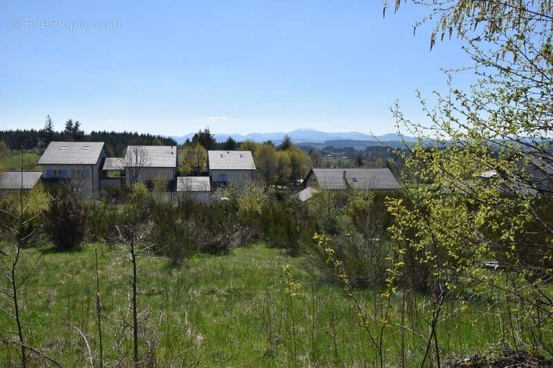 Terrain à SAINT-AGREVE