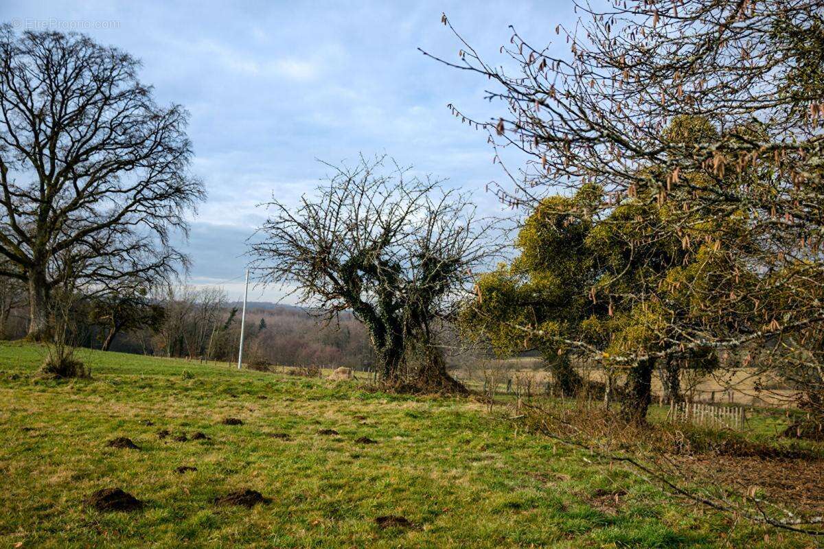 Terrain à LOMONT