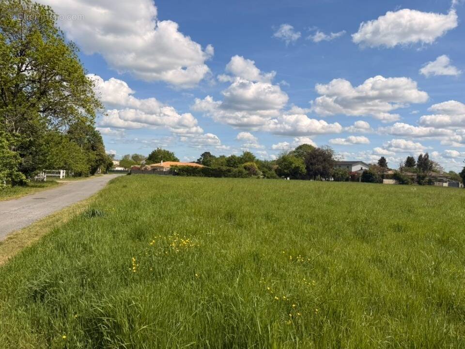 Terrain à MARTILLAC