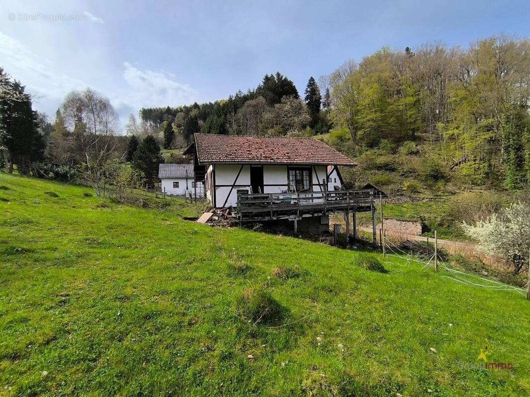 Terrain à LE HOHWALD