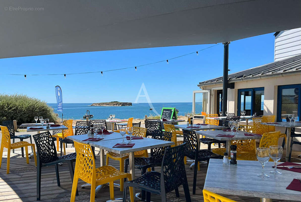 Commerce à PENESTIN