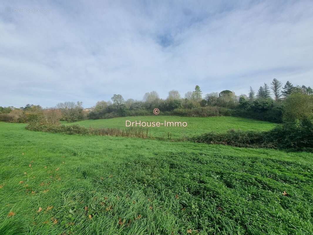 Terrain à MONPAZIER