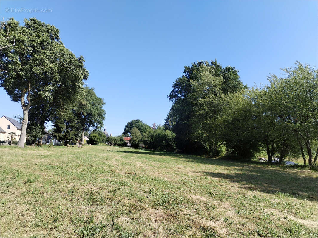 Terrain à LIVRE-SUR-CHANGEON