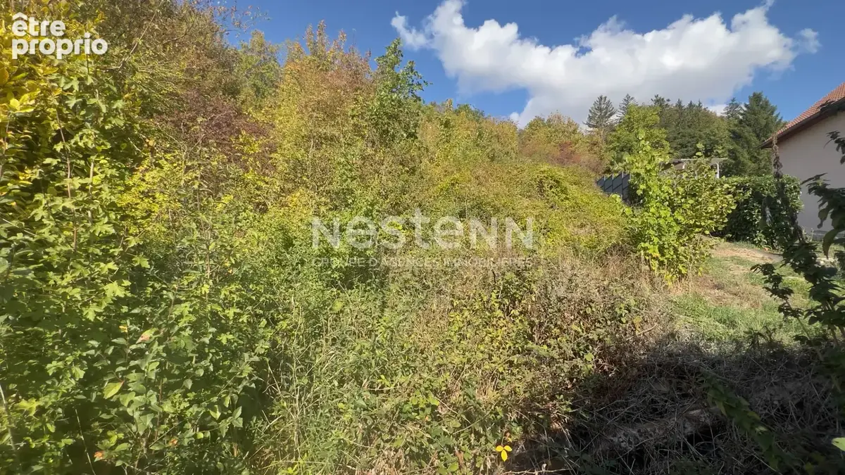 BAR-LE-DUC terrain de loisirs de 2915m² avec maisonnettes de 4 m² et 9 m² - photo 2