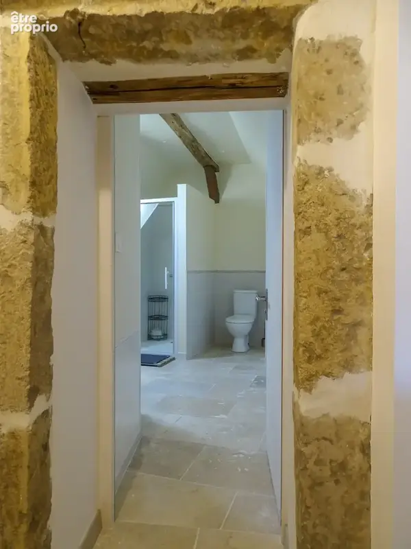 Charmante maison Dans la cité médiévale de Mennetou sur Cher - photo 11