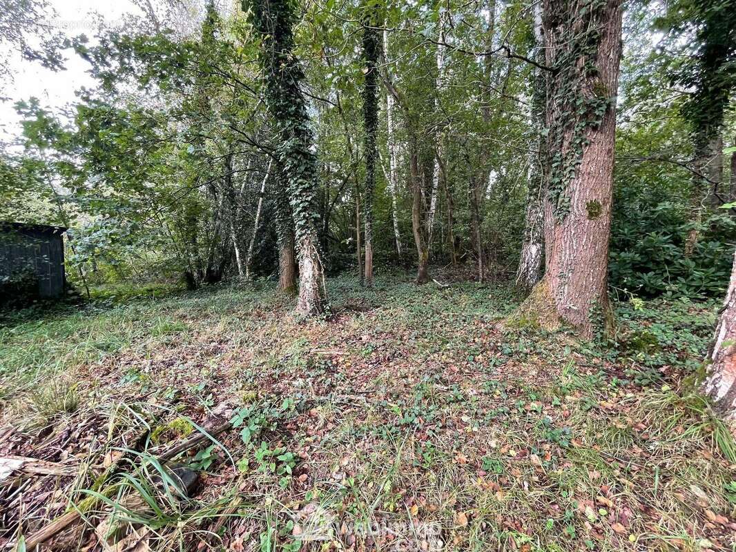D'une superficie de 6319 m² - Terrain à CHAILLEVOIS