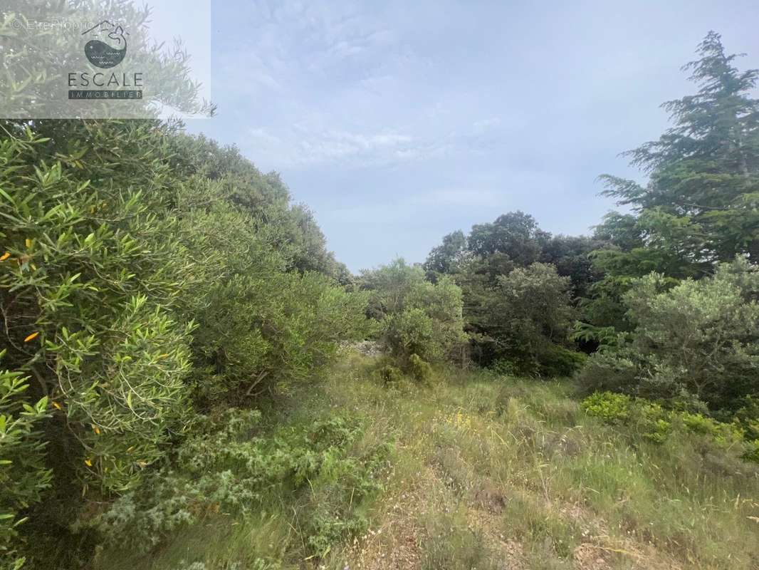 Terrain à PIGNAN