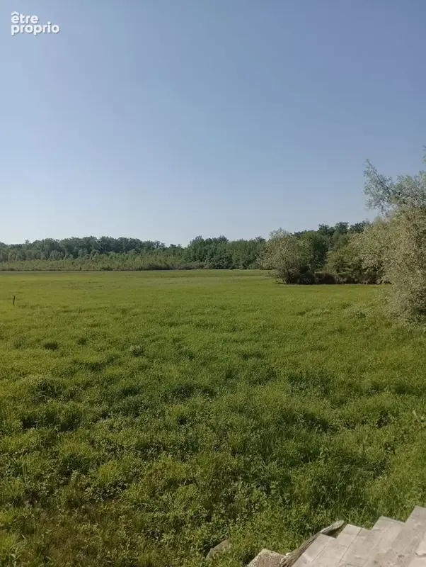 Vente étang de 11 ha environ sur terrain de 14 ha environ AILLONCOURT (70) - photo 7