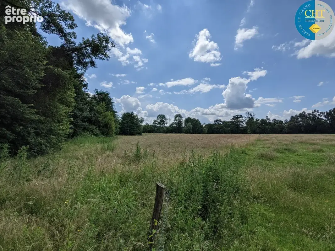 À Plélan-Le-Grand (35), Herbage de 13 000m2 et Parcelle de bois de 2 150m2 - photo 5