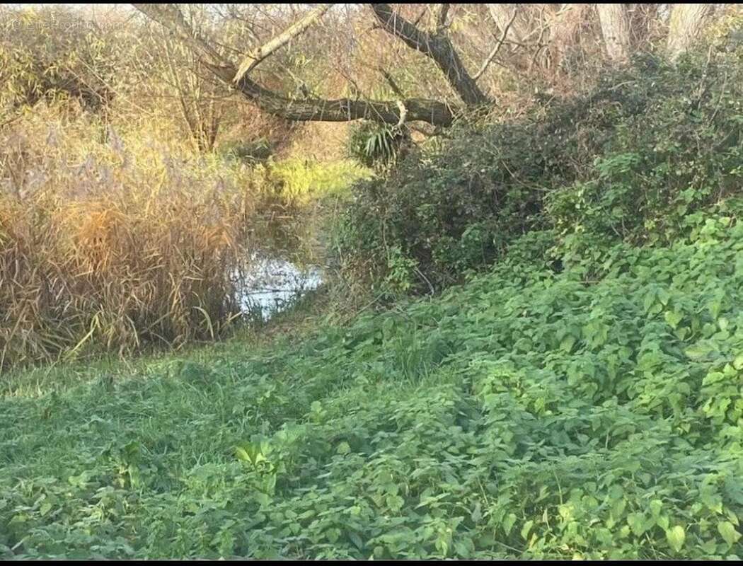 Photo 3 - Terrain à CAPPELLE-BROUCK