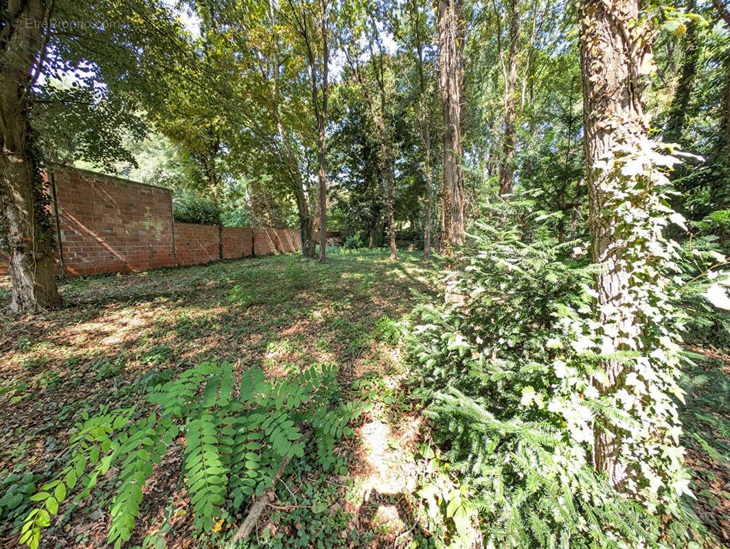 Terrain Congis Sur Therouanne 1000m2 - photo 4