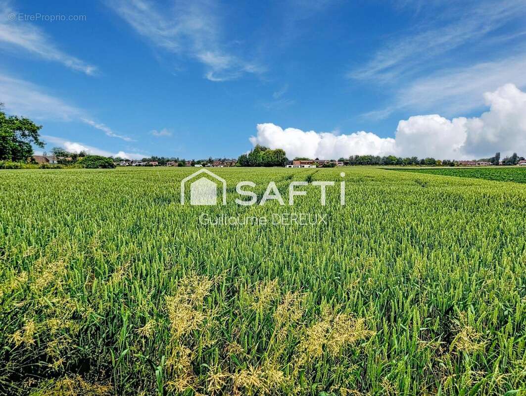 Maison 164 m² à Leers  - photo 2