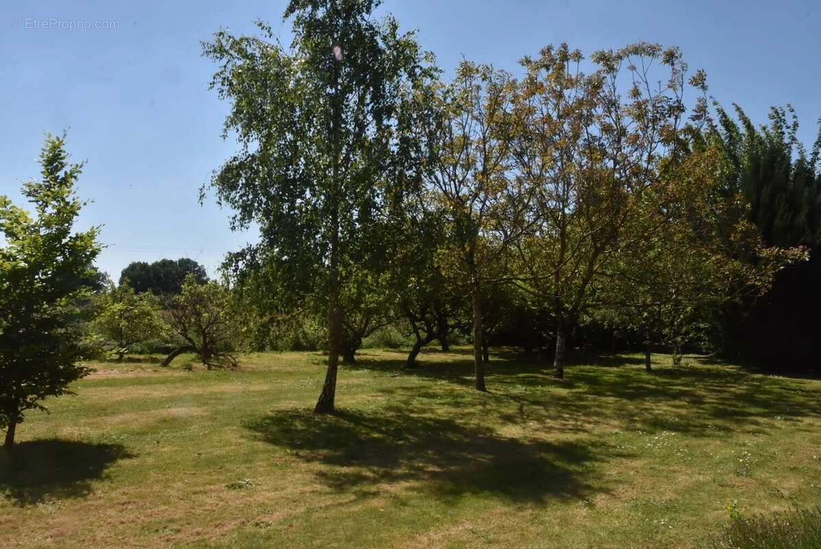 Domaine d’exception avec Maison de Maître, maisons d’amis et piscine - photo 18