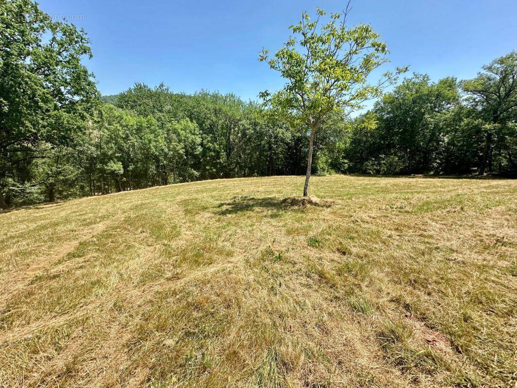 Terrain à MARCILLAC-VALLON